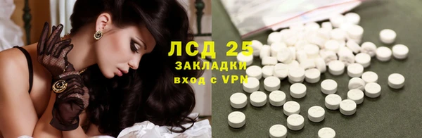 ПСИЛОЦИБИНОВЫЕ ГРИБЫ Волосово