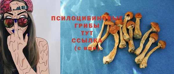 гидропоника Верхнеуральск
