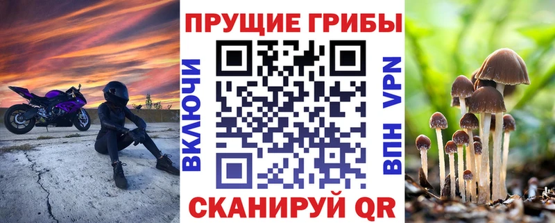 Псилоцибиновые грибы Psilocybe  Каменка 